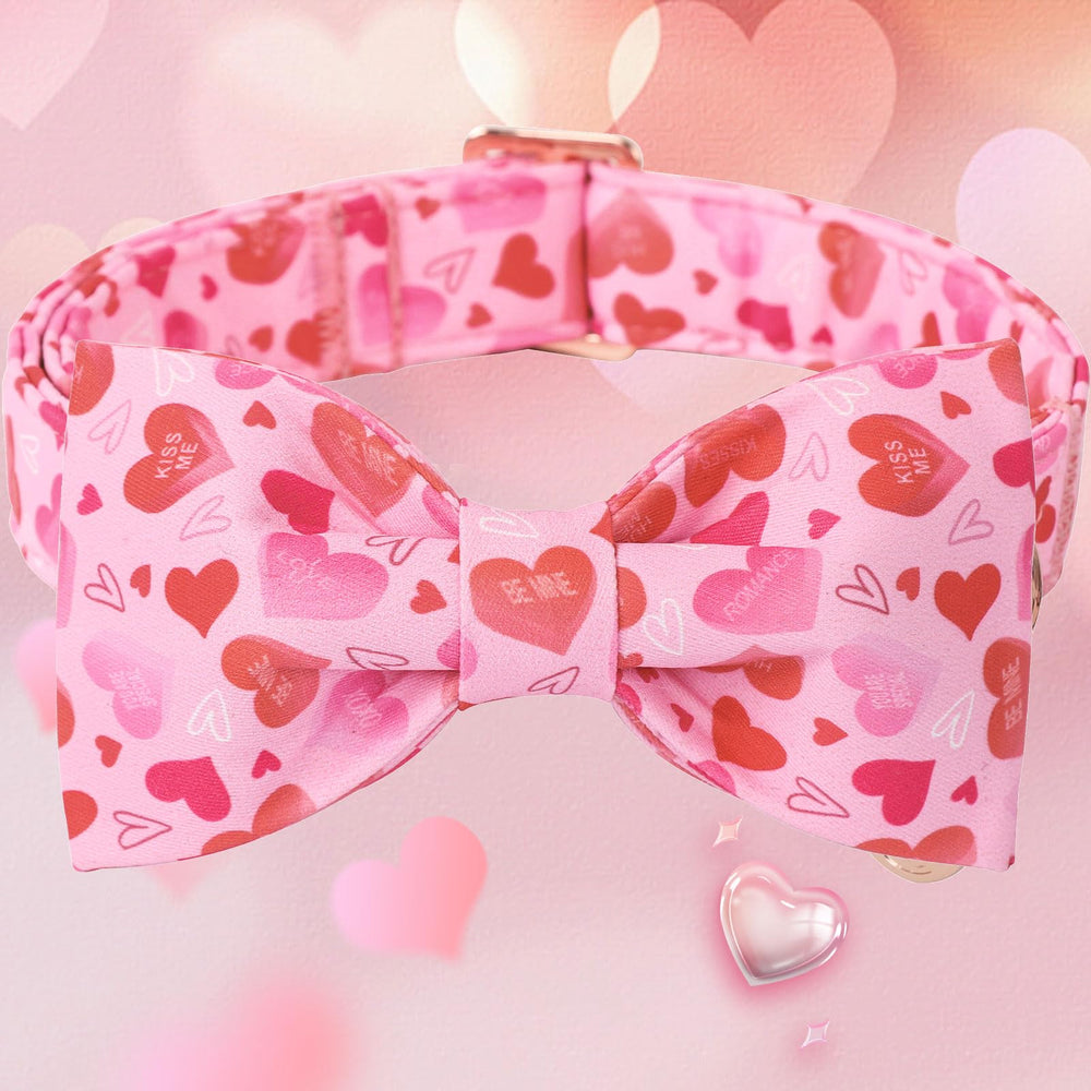 DOGWONG collar ajustable con hebilla rápida, cómodo y seguro para paseos diarios.