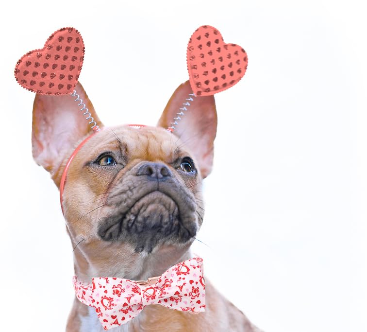 DOGWONG collar de algodón natural cómodo y transpirable para tu mascota.
