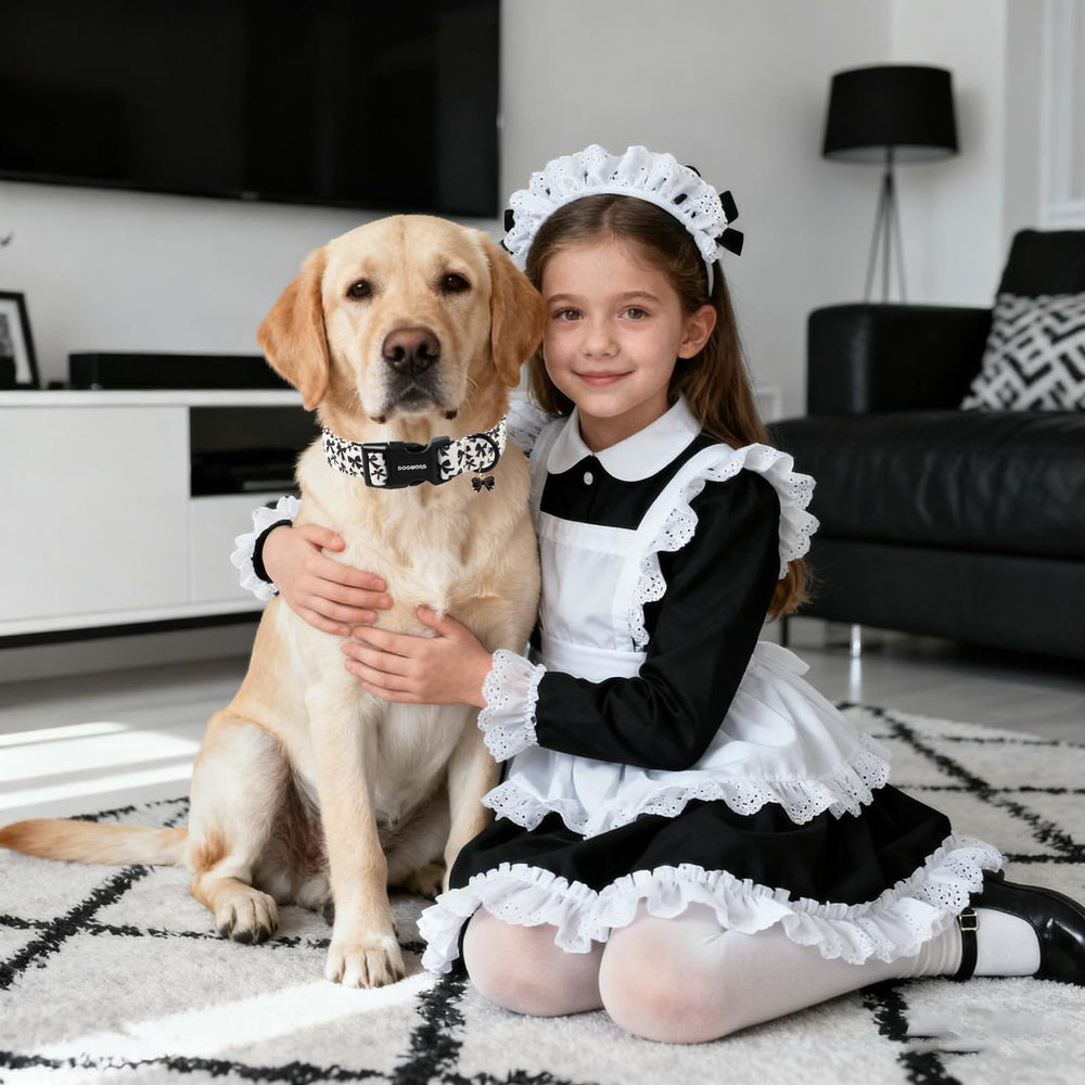 Anilla en D y placa de identificación en collar DOGWONG para enganchar la correa.