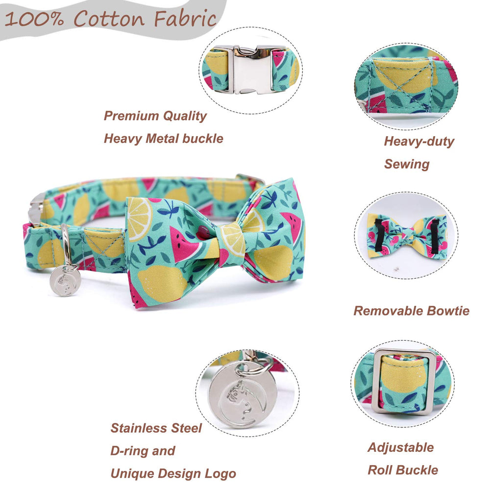 Lazo removible del Collar DOGWONG, opción versátil para fiestas o paseos.