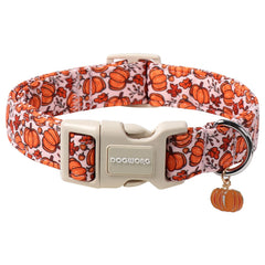 Collar DOGWONG calabaza rosa, vista frontal, para paseos diarios.