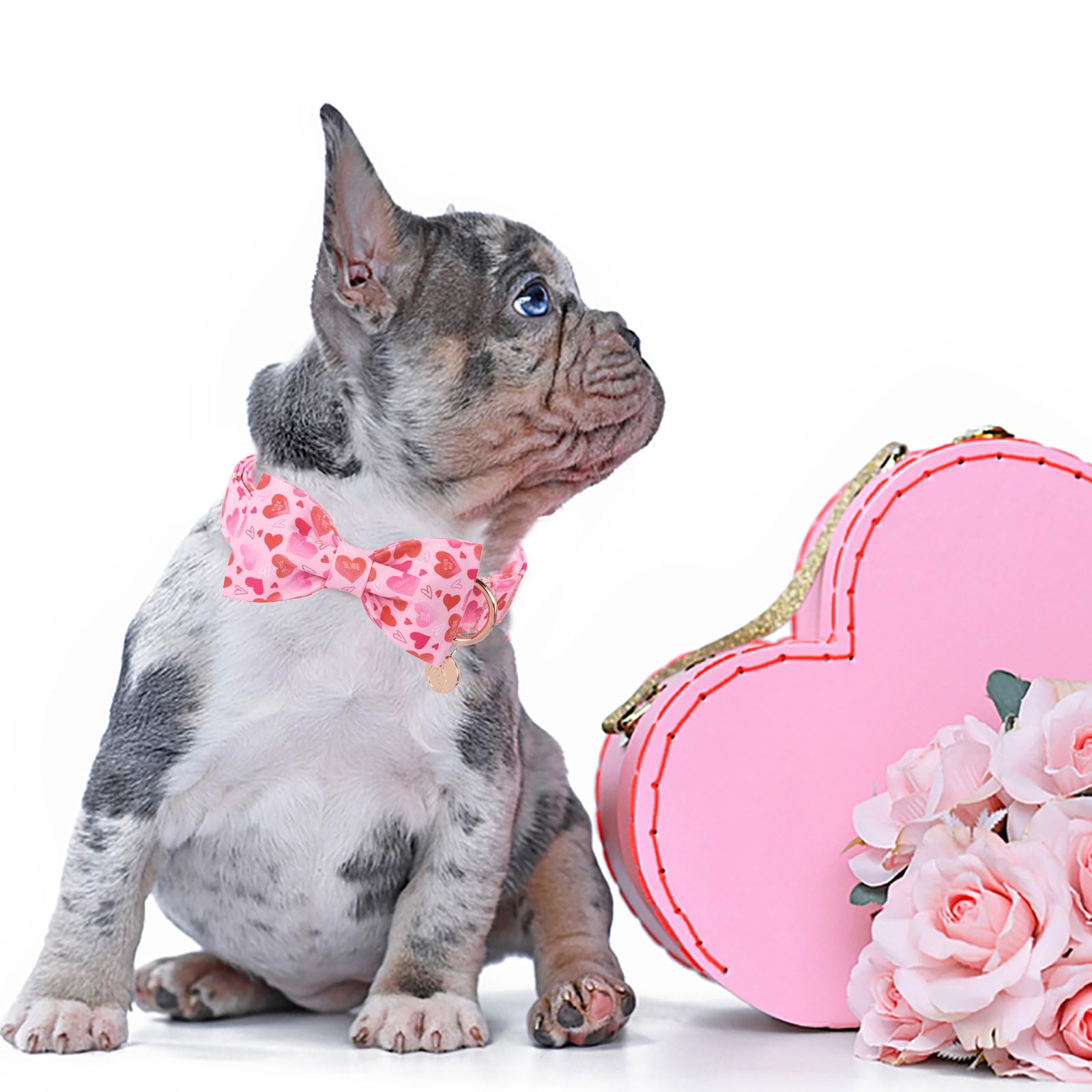 DOGWONG lazo corazón rosado en collar, perfecto para looks de San Valentín.