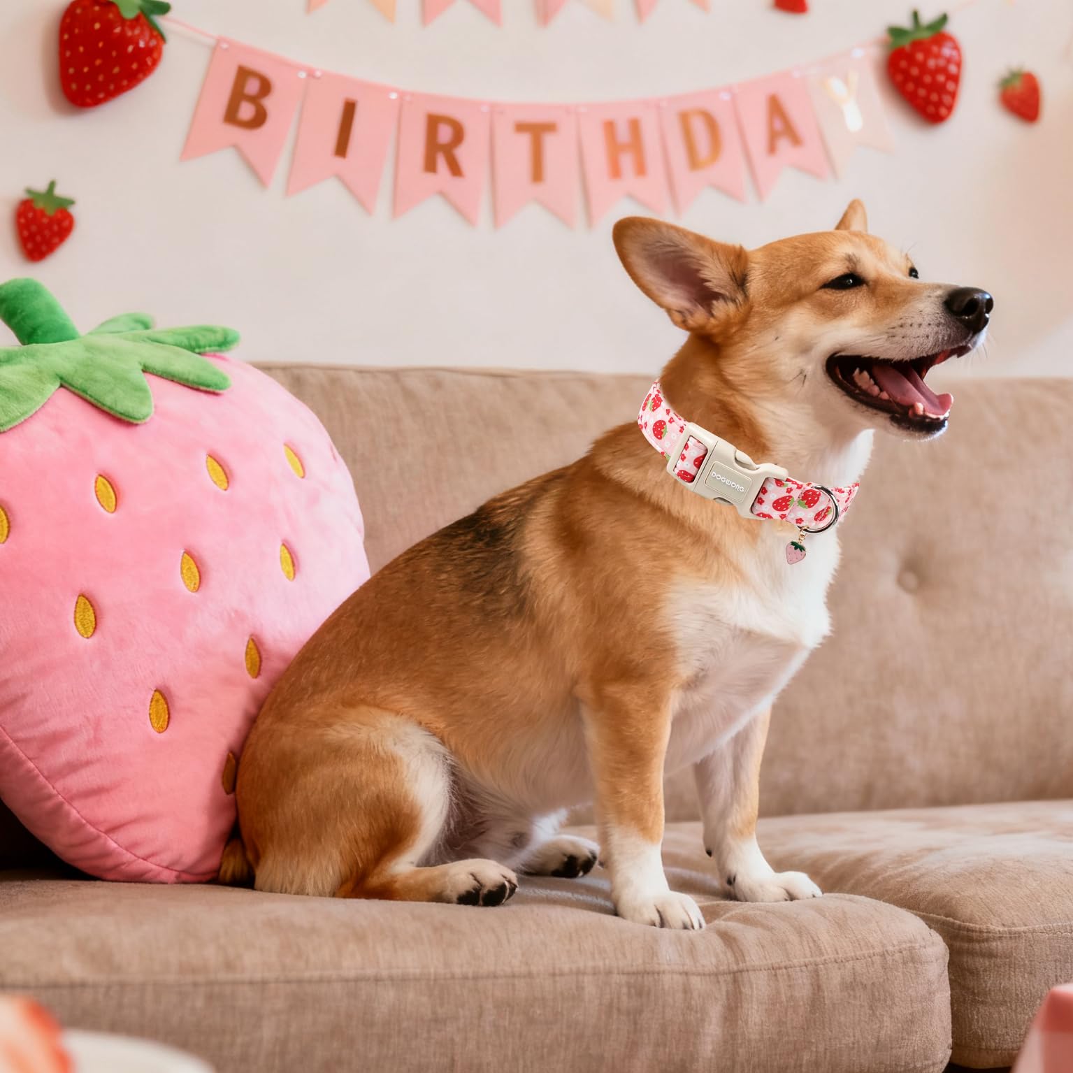 Pendiente decorativo DOGWONG para estilo y foto