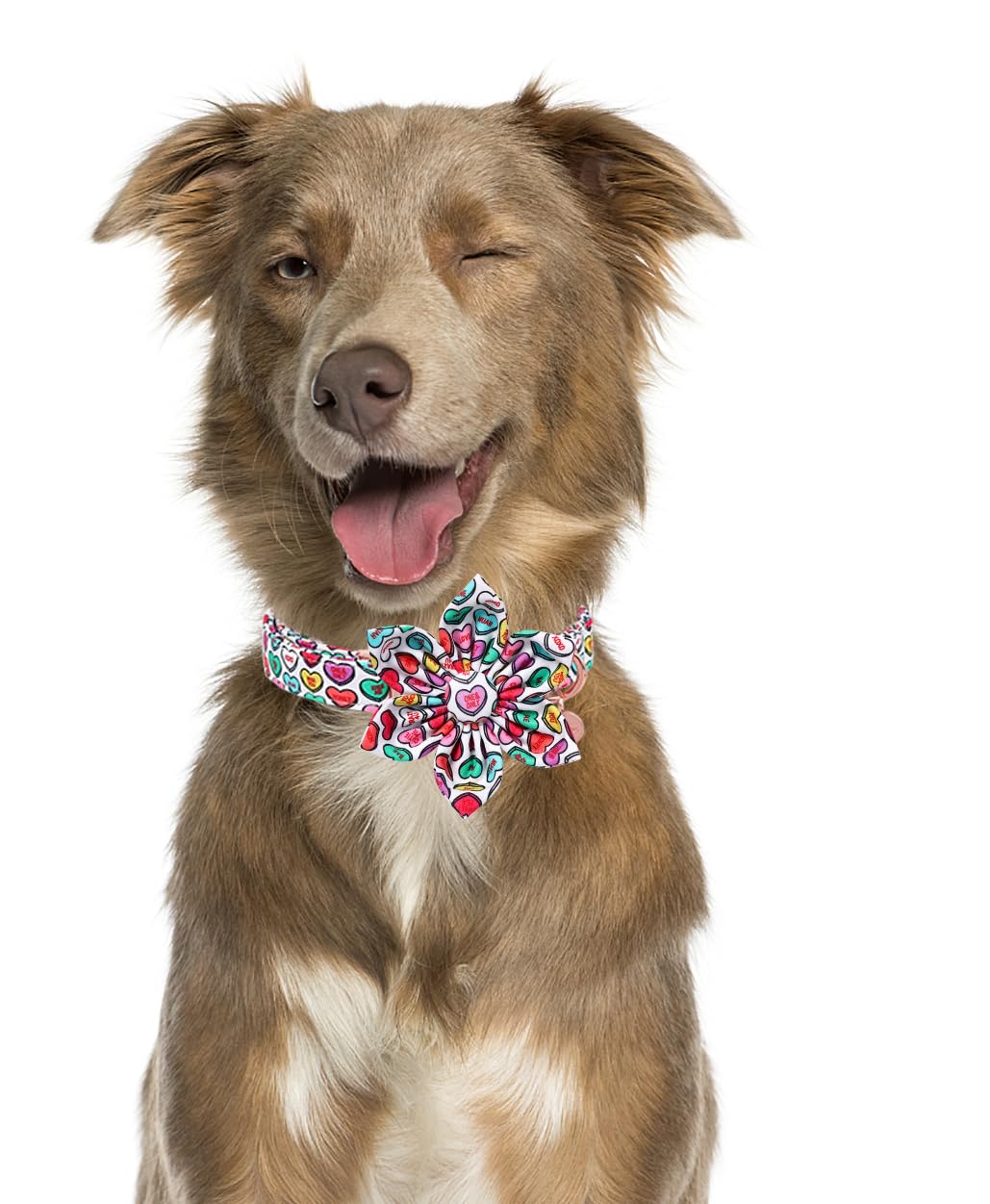 Collar DOGWONG diseño único de corazón rosa, ideal para ocasiones especiales.