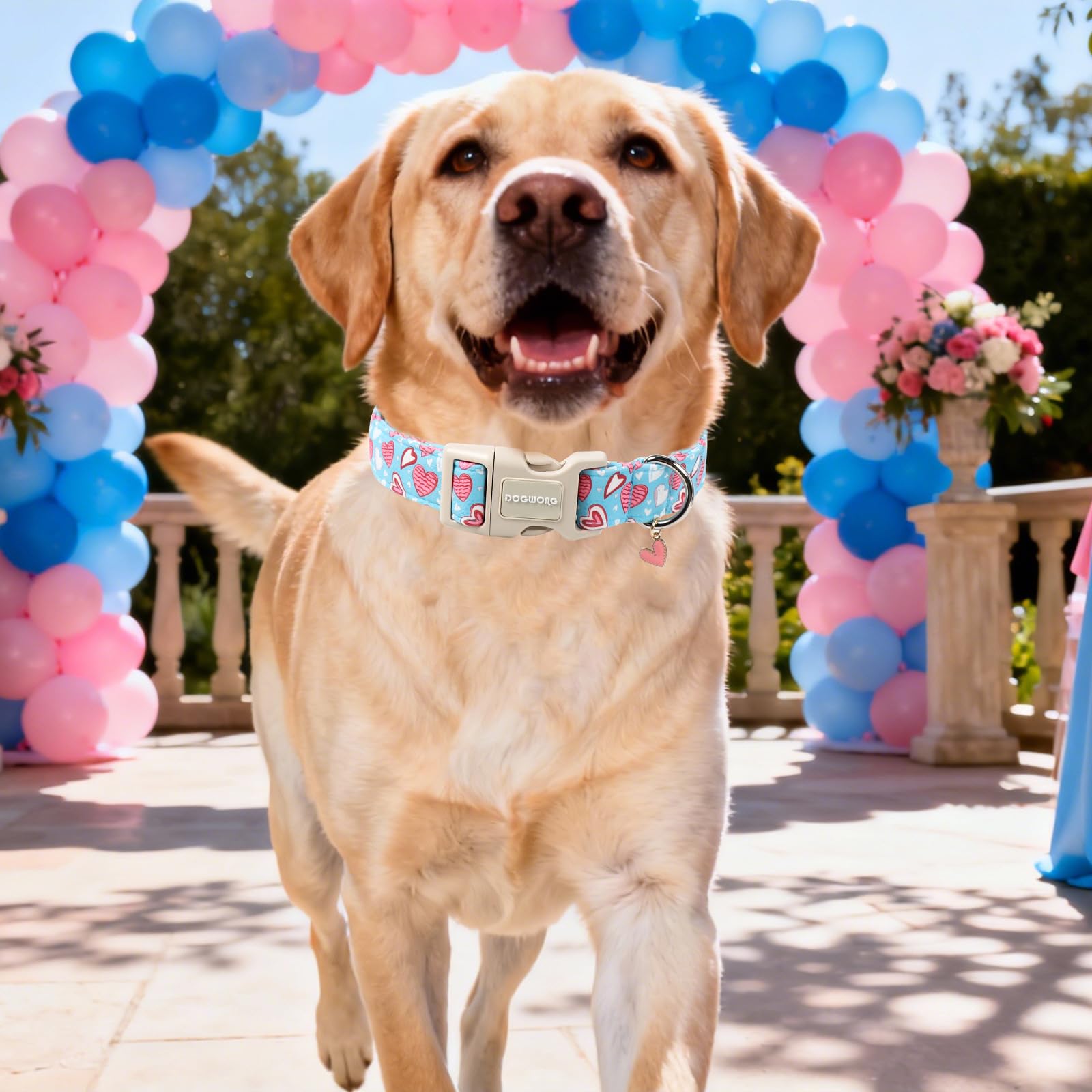 Collar DOGWONG con diseño valentín azul, apto para todas las razas.