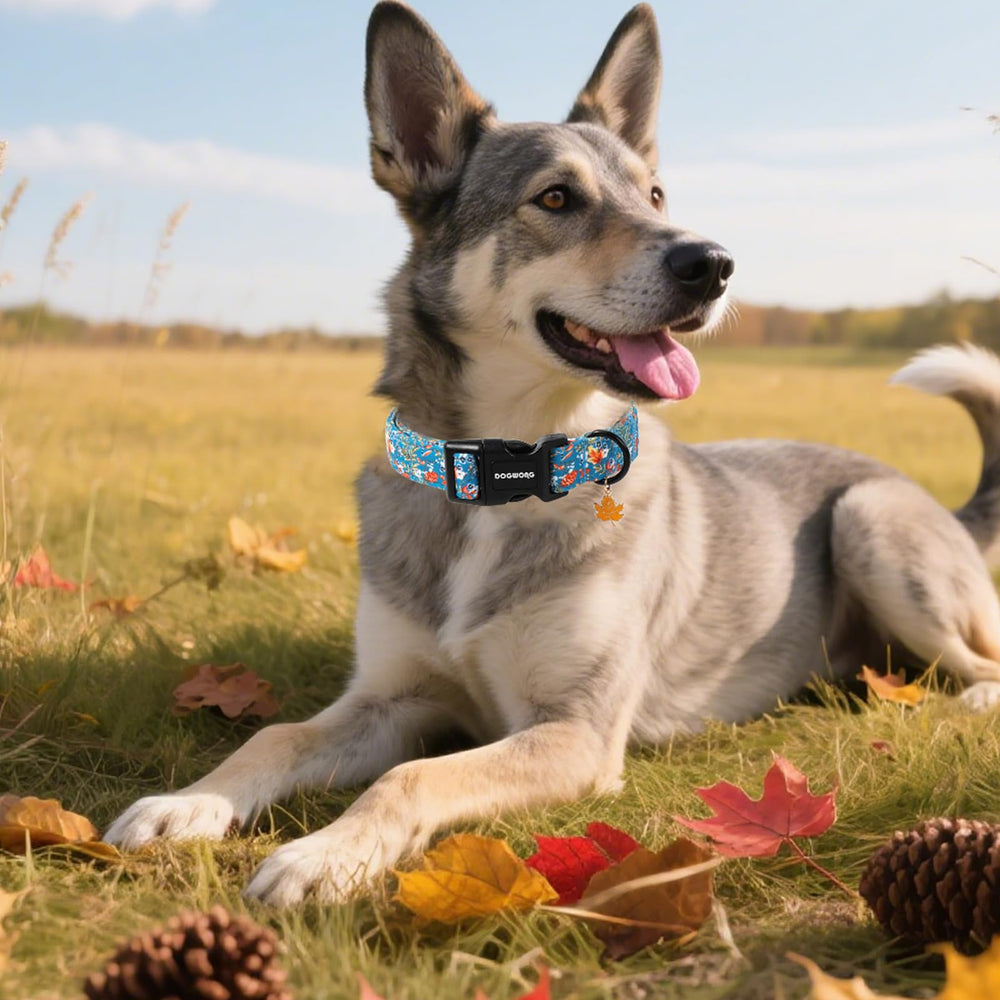 Collar DOGWONG estilo otoñal elegante para cualquier ocasión.