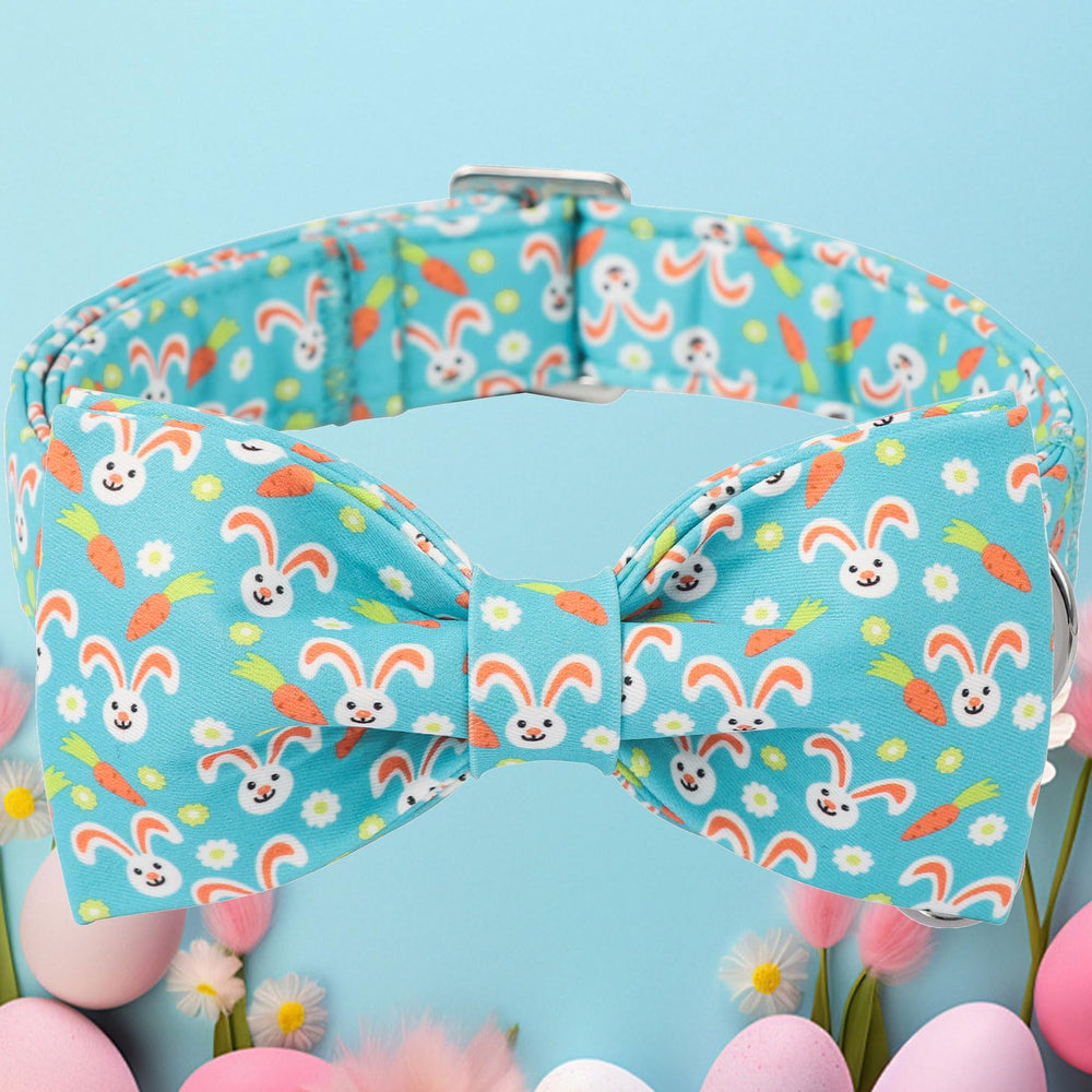 DOGWONG collar con hebilla plástica y ajuste cómodo para uso diario