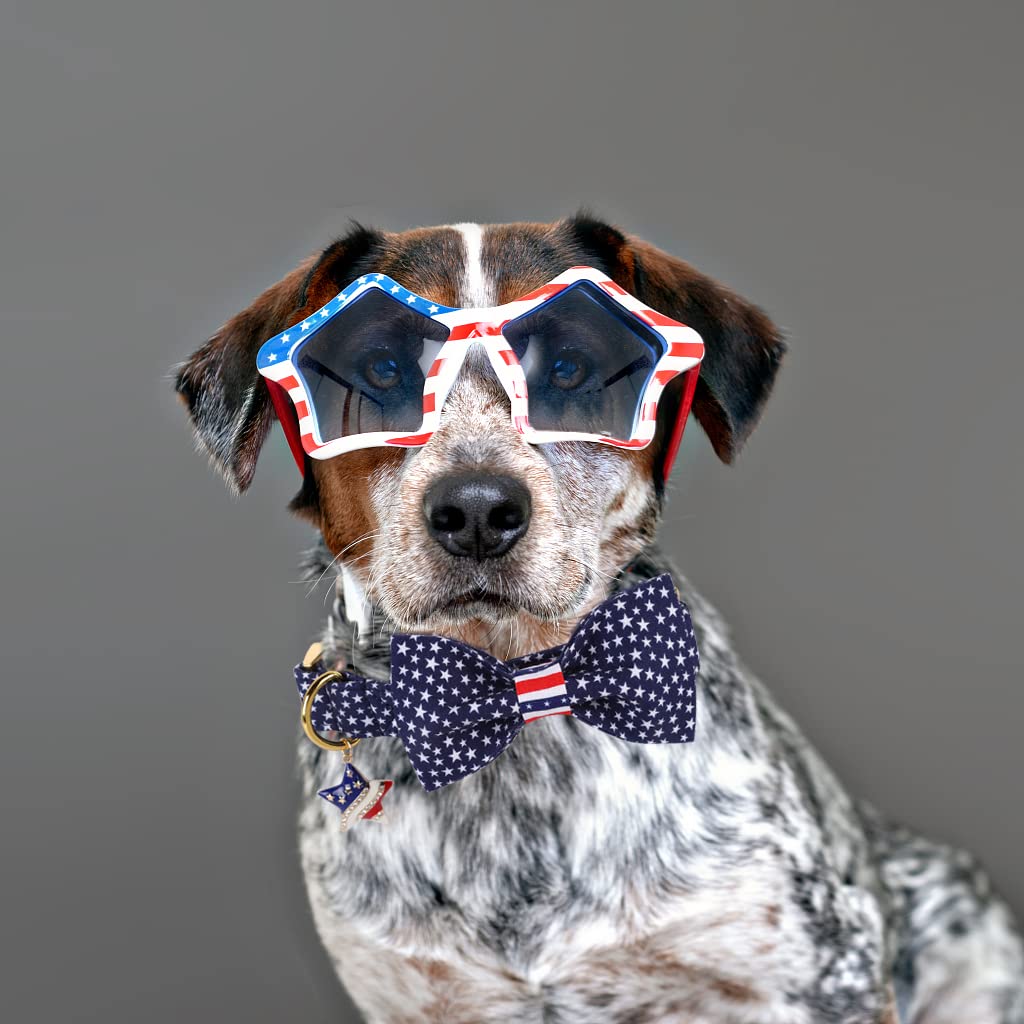 DOGWONG lazo desmontable para collar, ideal para cambiar estilos rápidamente