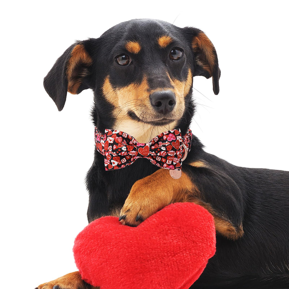 Collar DOGWONG de talla ajustable para perros de todos los tamaños.