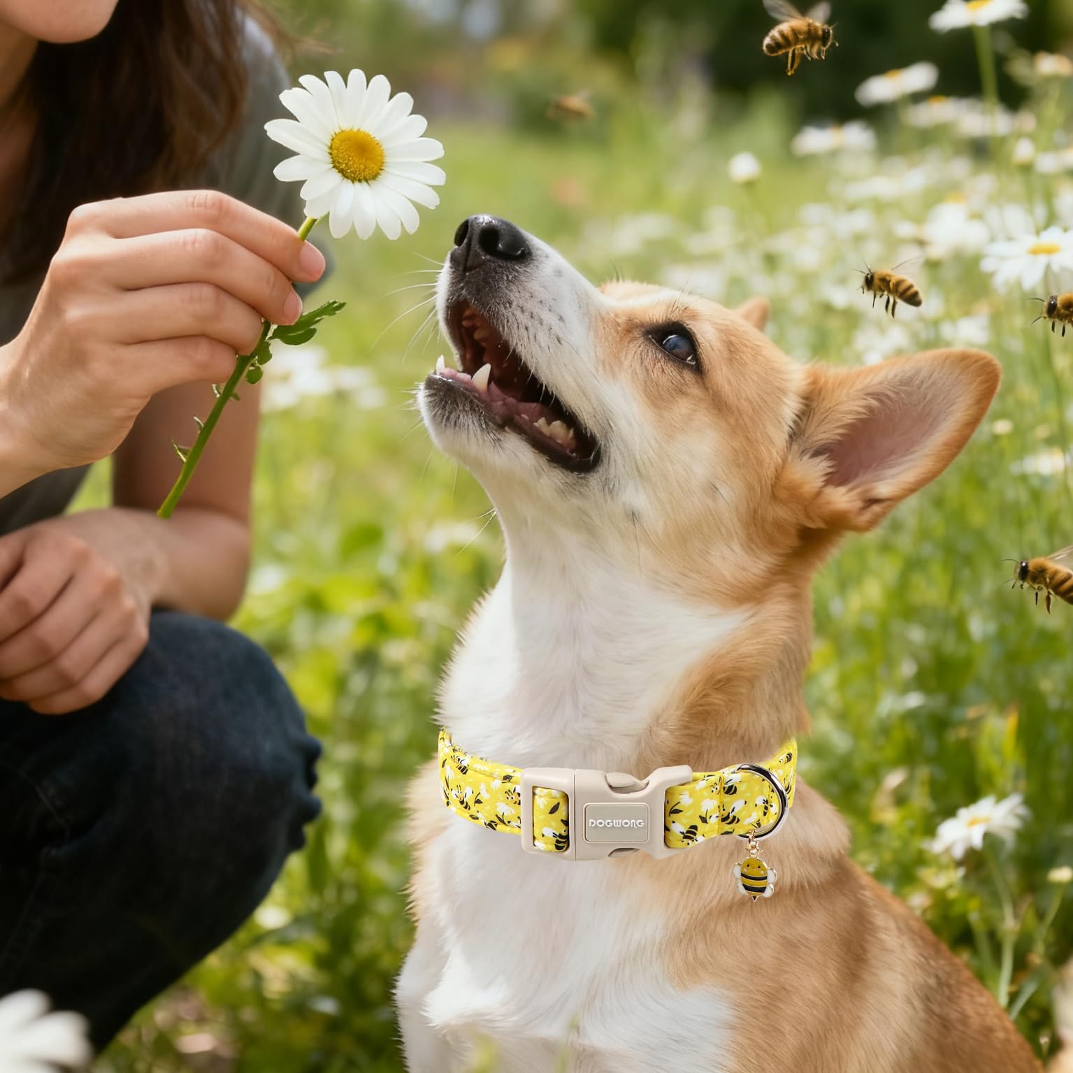 DOGWONG collar para todos los tamaños, versatilidad diaria.