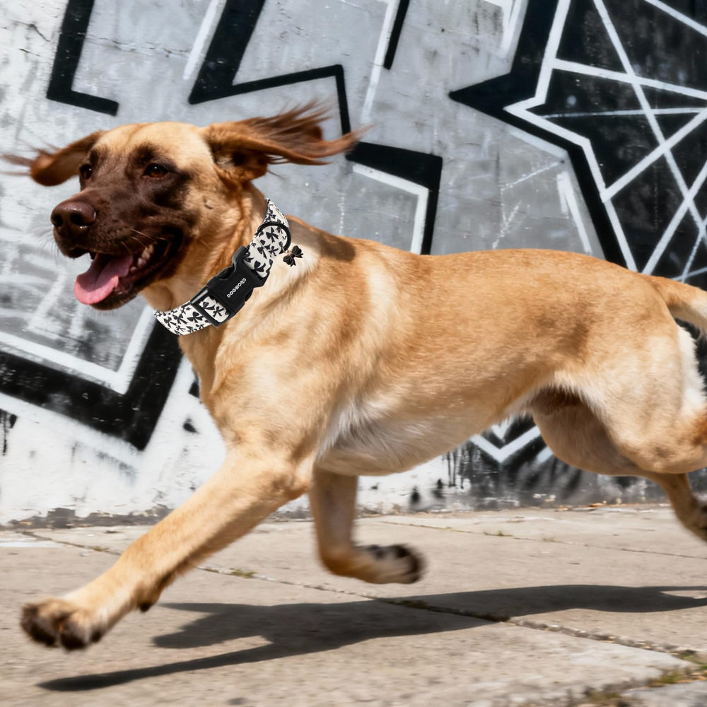 Textura de algodón suave en collar DOGWONG, ligereza para uso diario.