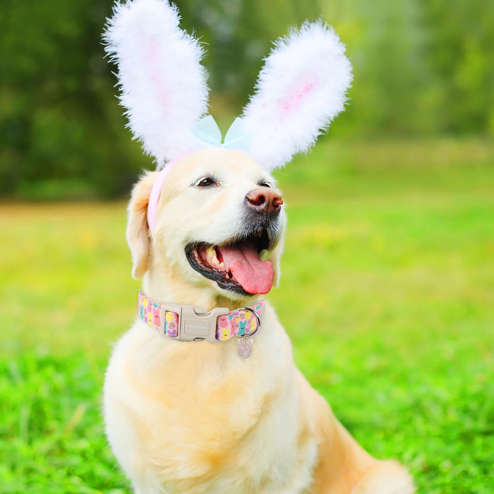 DOGWONG collar regalo pascua, aspecto adorable para sesiones de fotos.