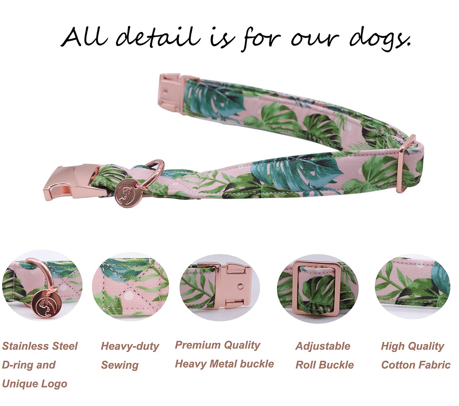 Collar DOGWONG verde con lazo removible, ideal para eventos
