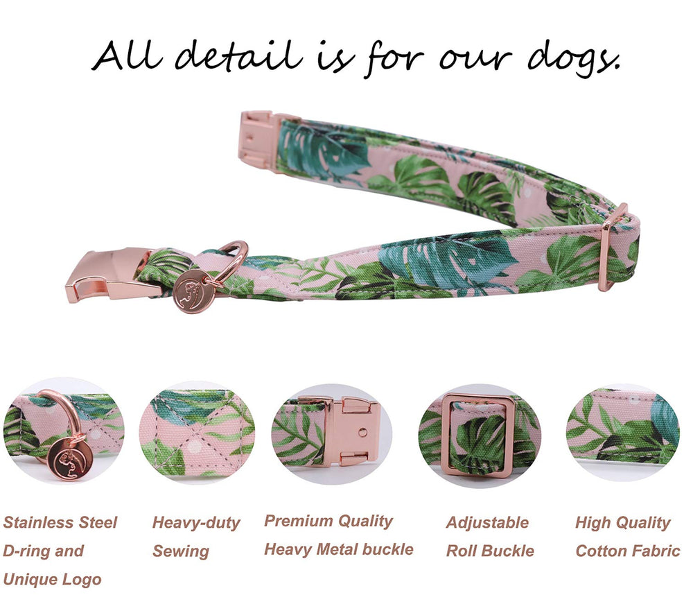 Collar DOGWONG verde con lazo removible, ideal para eventos