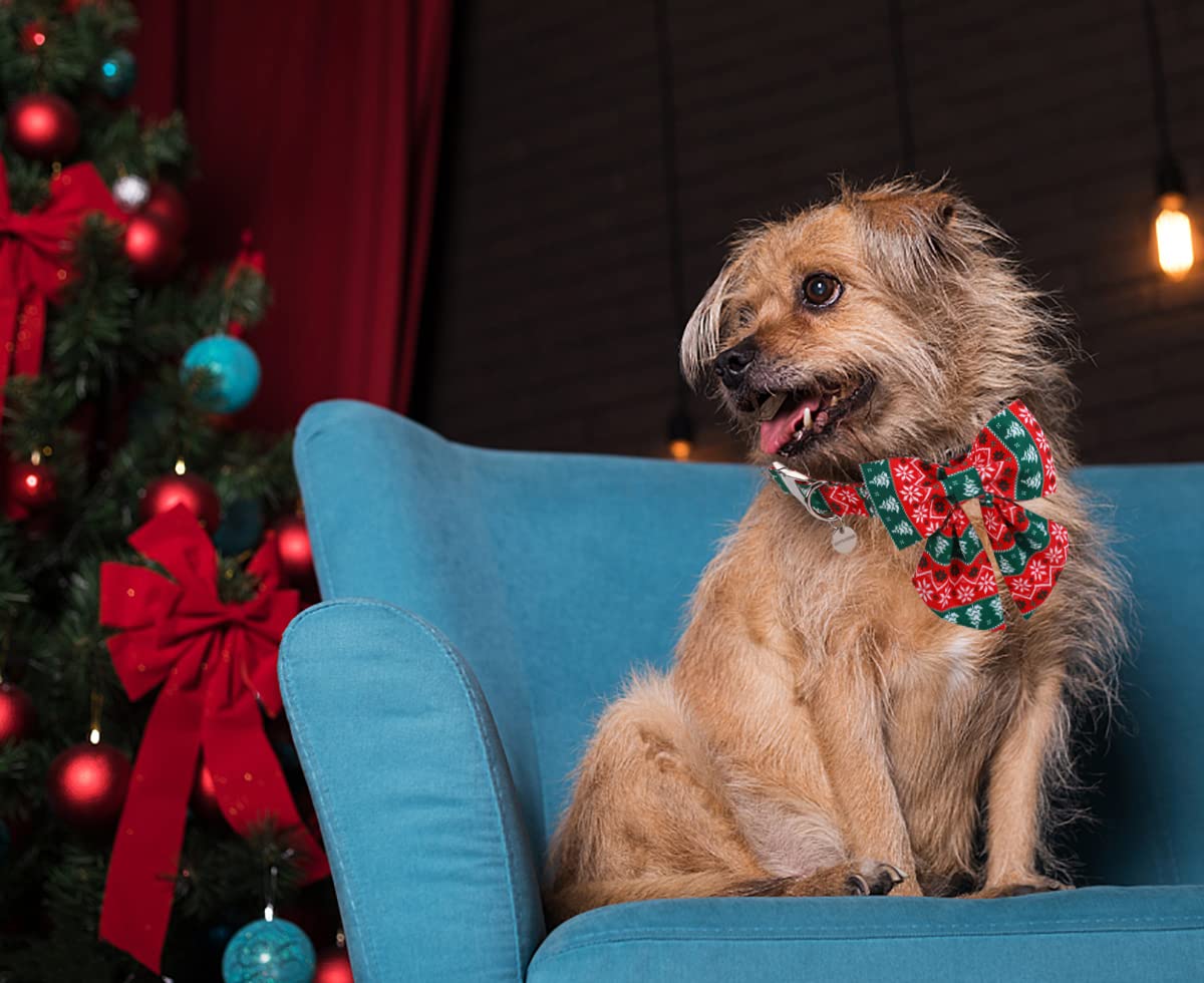 Cuidado fácil: limpieza a mano para collar DOGWONG