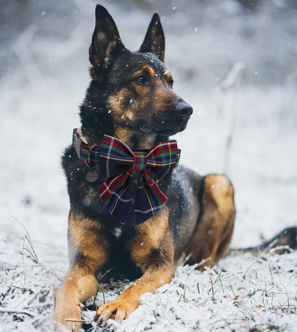 DOGWONG diseño de cuadros rojos y azules para estilo navideño