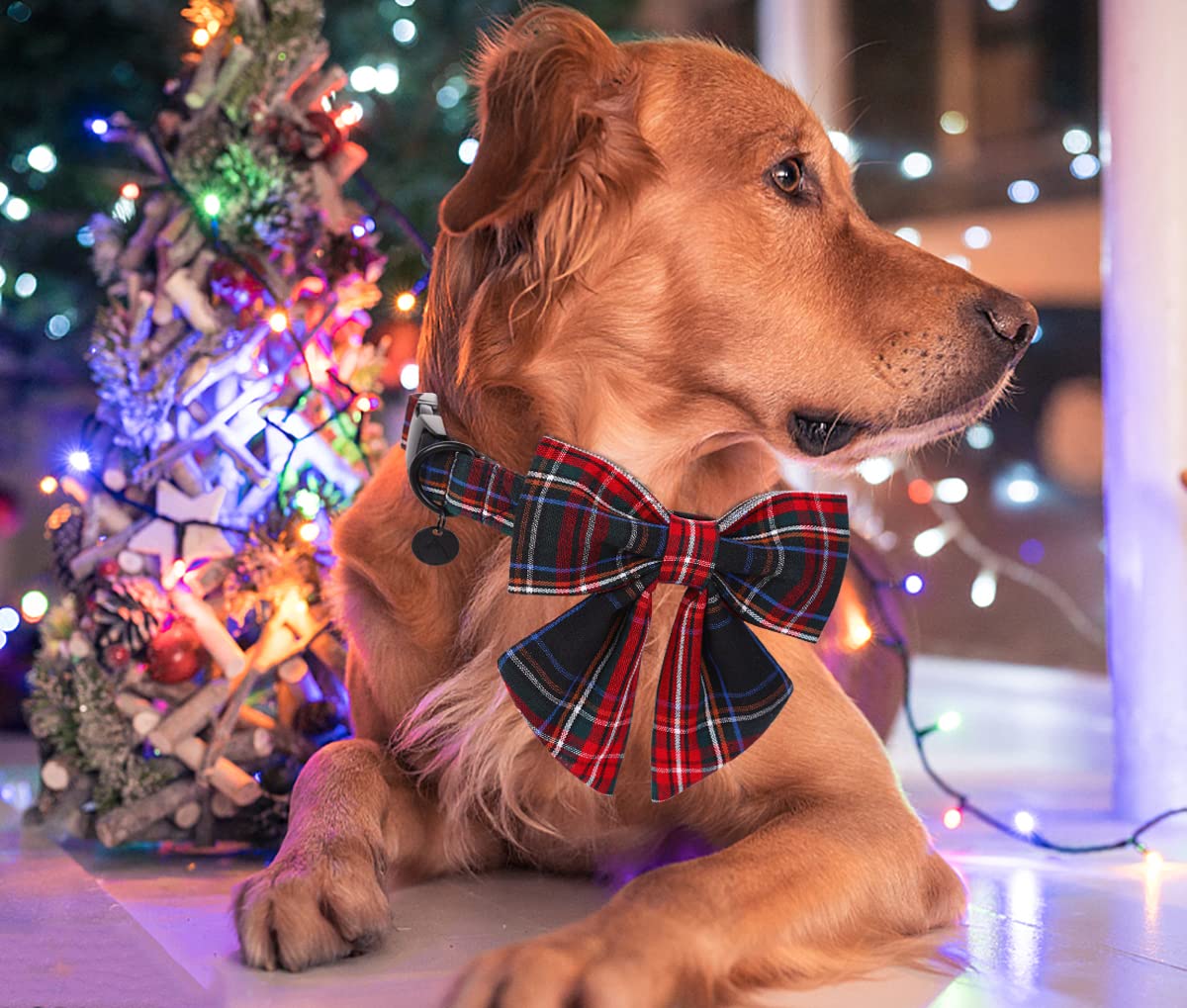 DOGWONG diseño festivo a cuadros que realza la apariencia del perro.