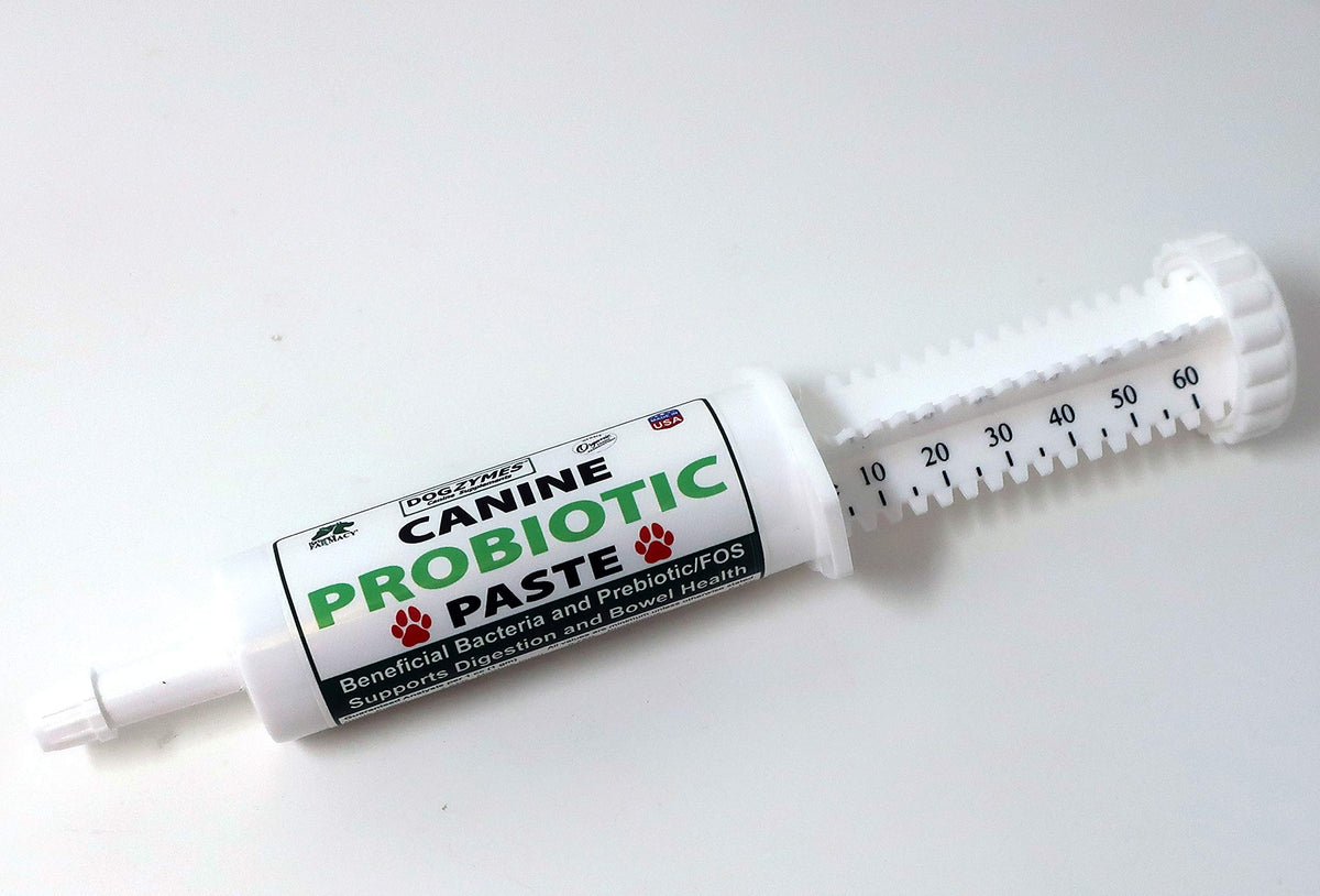 Dogzymes Pasta Probiótica Canina: envase de 60 g para apoyo digestivo diario.