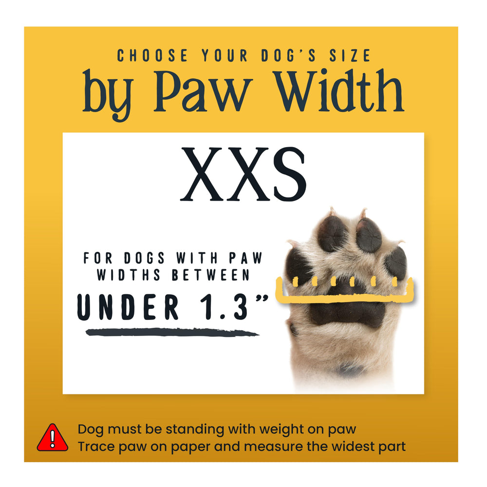 Protección de patas en verano con DOK TigerToes sobre pavimento caliente