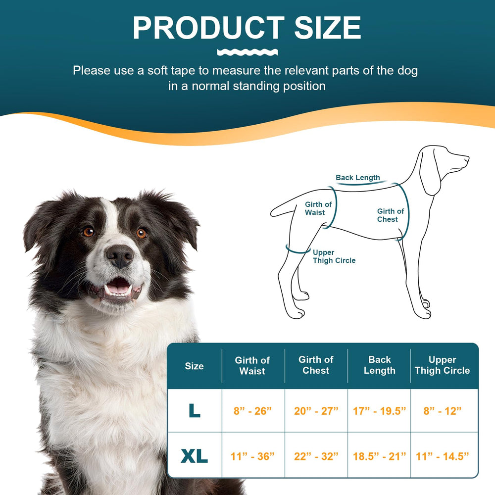 Dollephi diseño fácil de colocar, recomendado por veterinarios.
