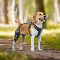 Dollephi rodillera para perro mejora la estabilidad con bisagra.
