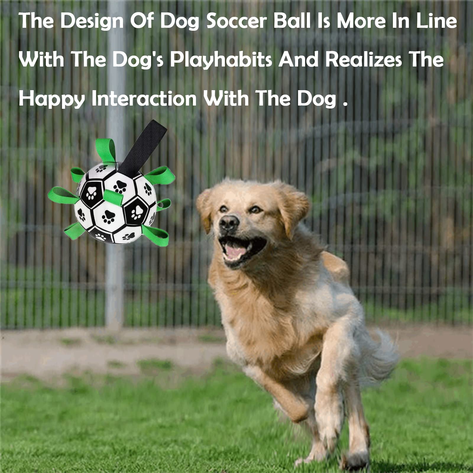 Domchan bola fútbol para perros tamaño mediano, perfecta para razas pequeñas y medianas.