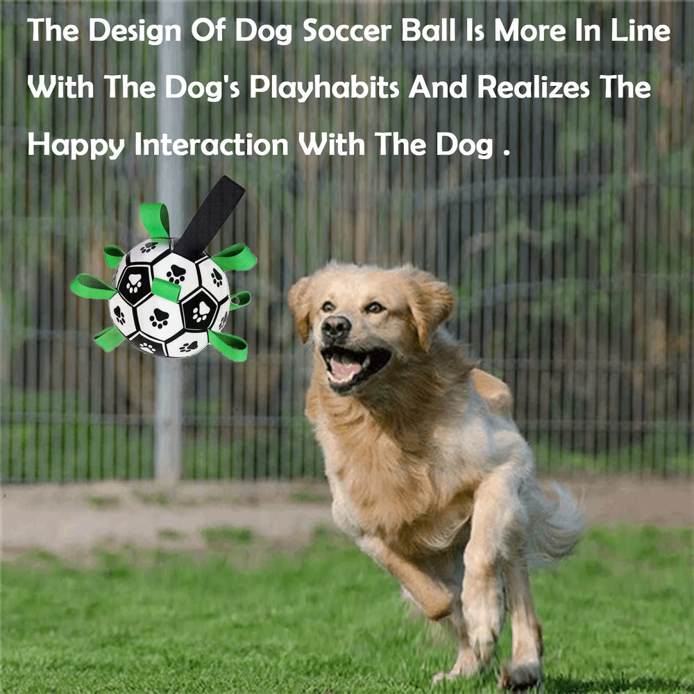 Domchan bola fútbol para perros tamaño mediano, perfecta para razas pequeñas y medianas.