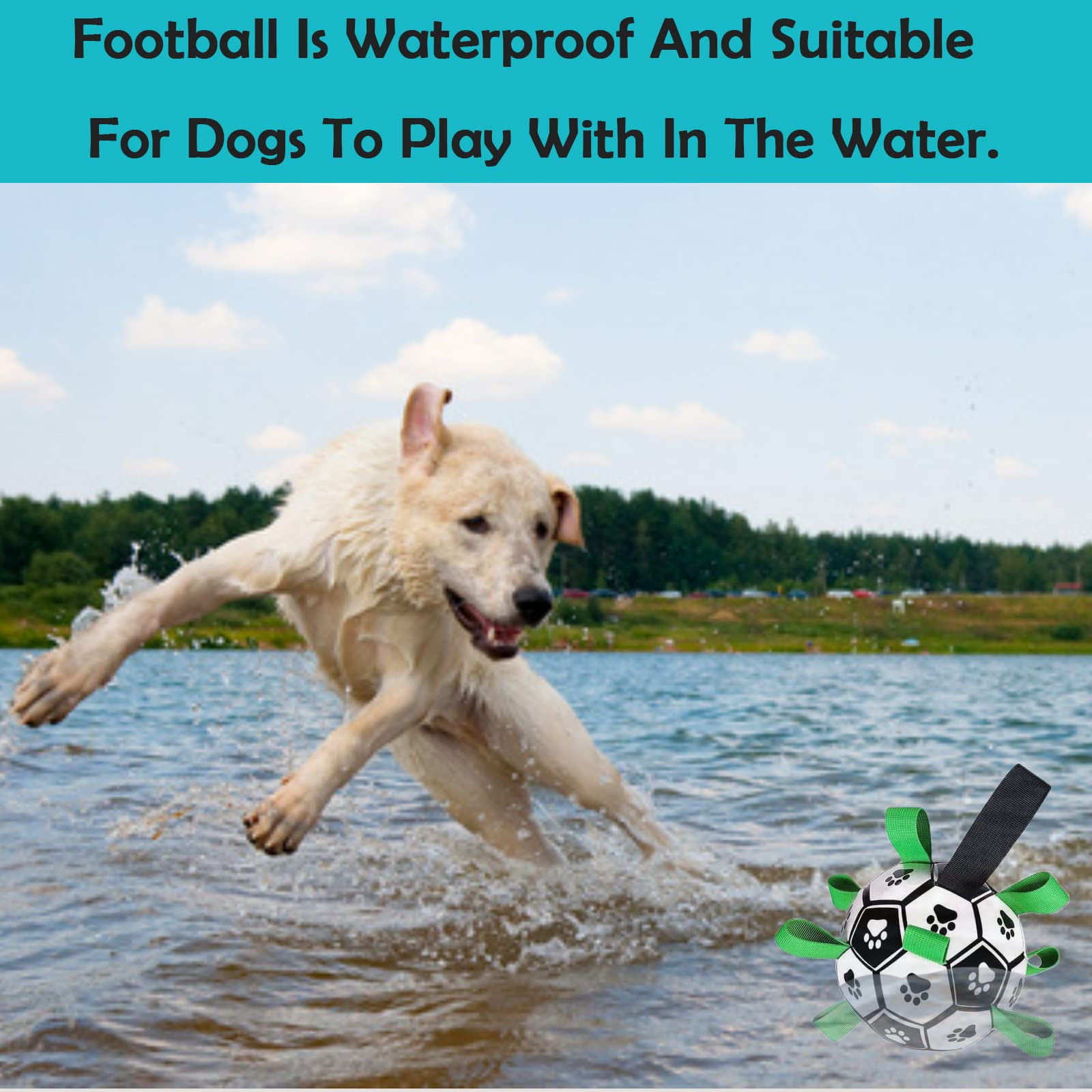 Domchan pelota para perros resistente al agua, apta para playa y piscina.