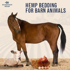 Dominion Hemp con bajo polvo, suave para mascotas y aves