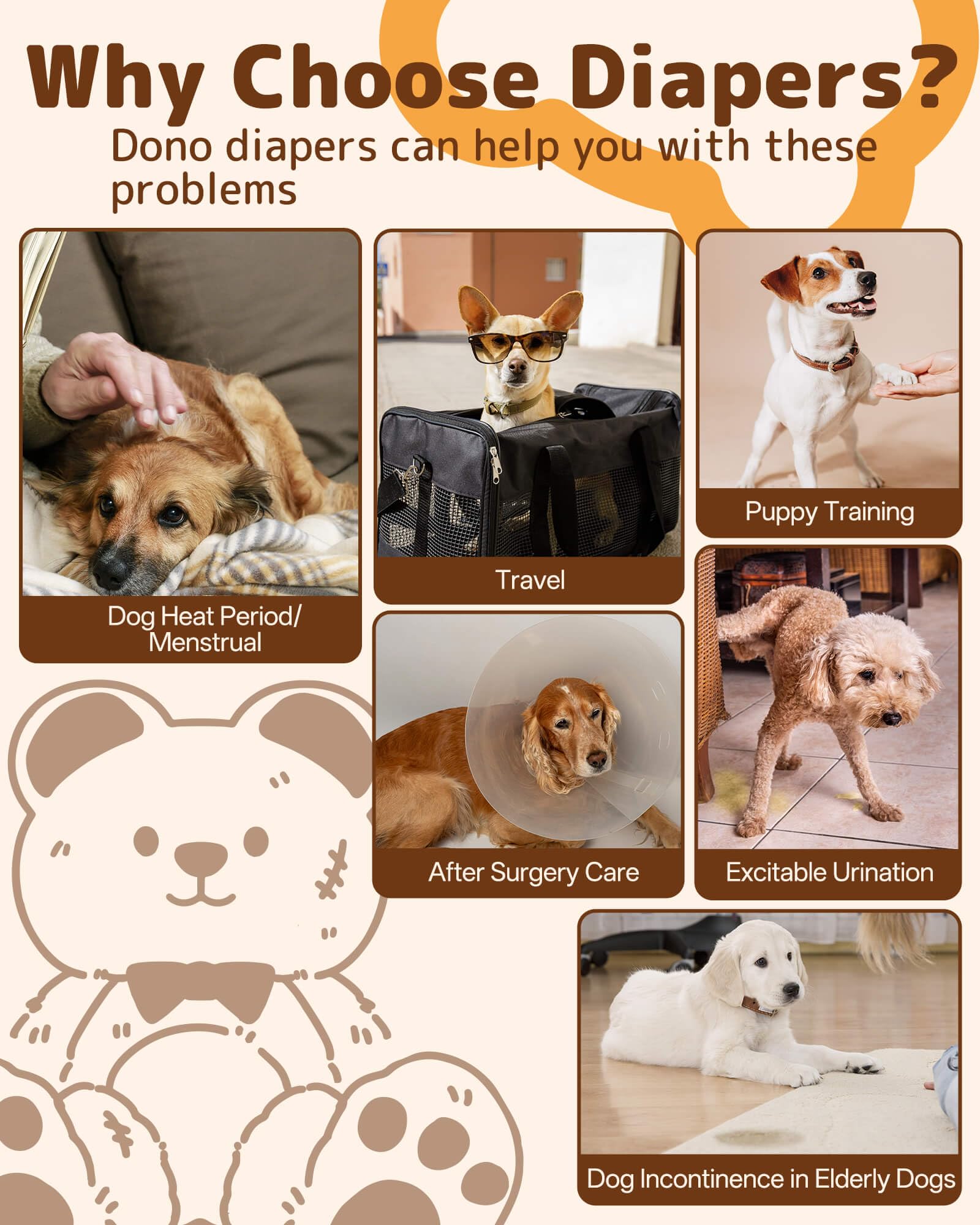 Opción práctica para perros mayores, facilitando el cuidado diario