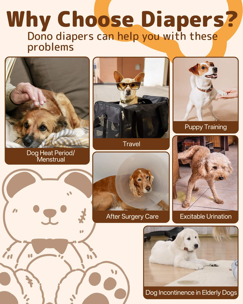 Opción práctica para perros mayores, facilitando el cuidado diario