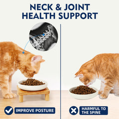 DoogCat alturas ajustables de 10,5 cm y 7,5 cm para adaptar al gato