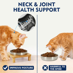 DoogCat: diseño estable con cuatro patas para evitar vuelcos.