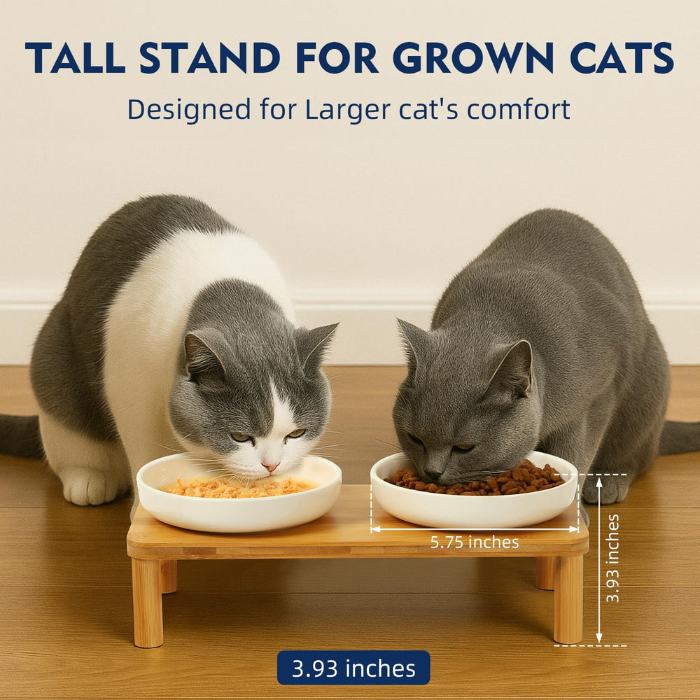 DoogCat tazones cerámicos para alimento y agua, diseño amplio.