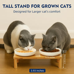 DoogCat tazones cerámicos para alimento y agua, diseño amplio.