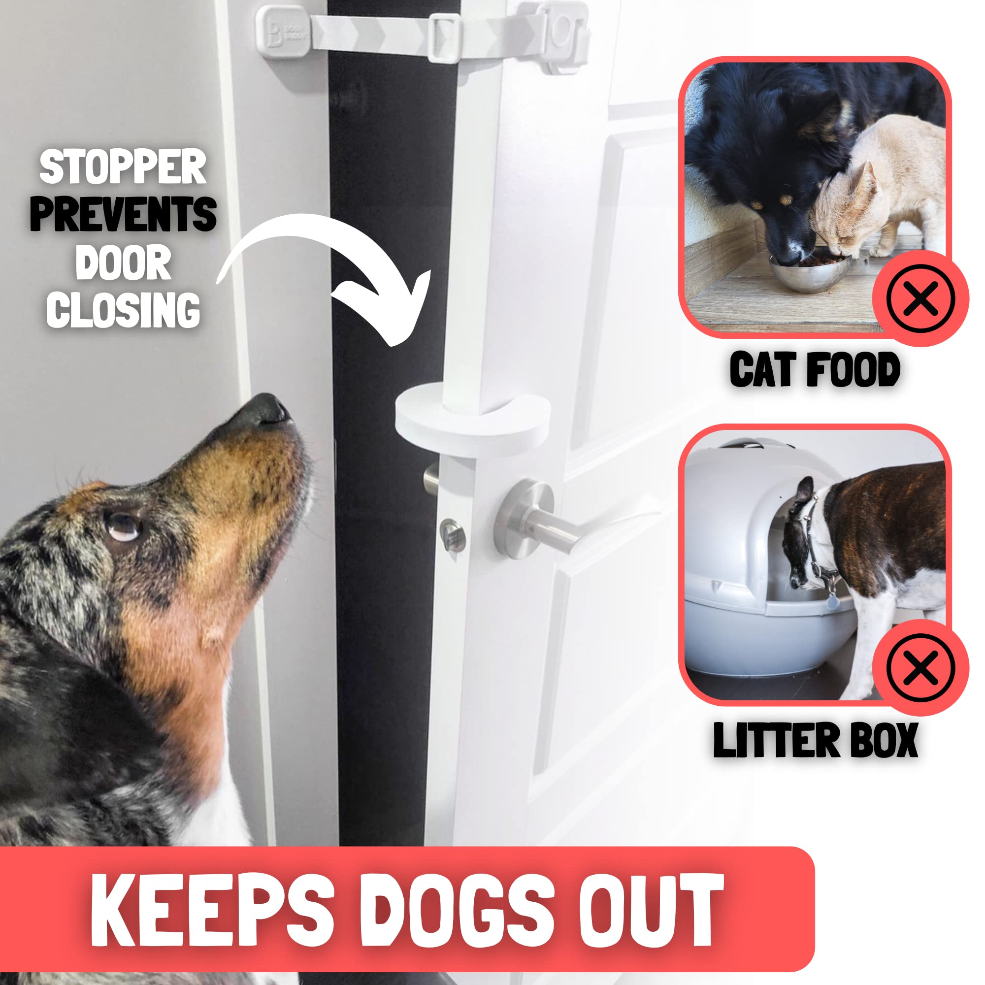 Door Buddy: barrera para caja de arena y comedero, protege al gato.