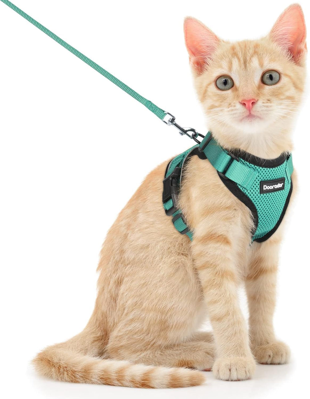 Dooradar arnés-gato ajustable con anilla trasera para paseo seguro.