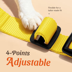 Dooradar arnés gato anti-escape para salidas seguras y controladas