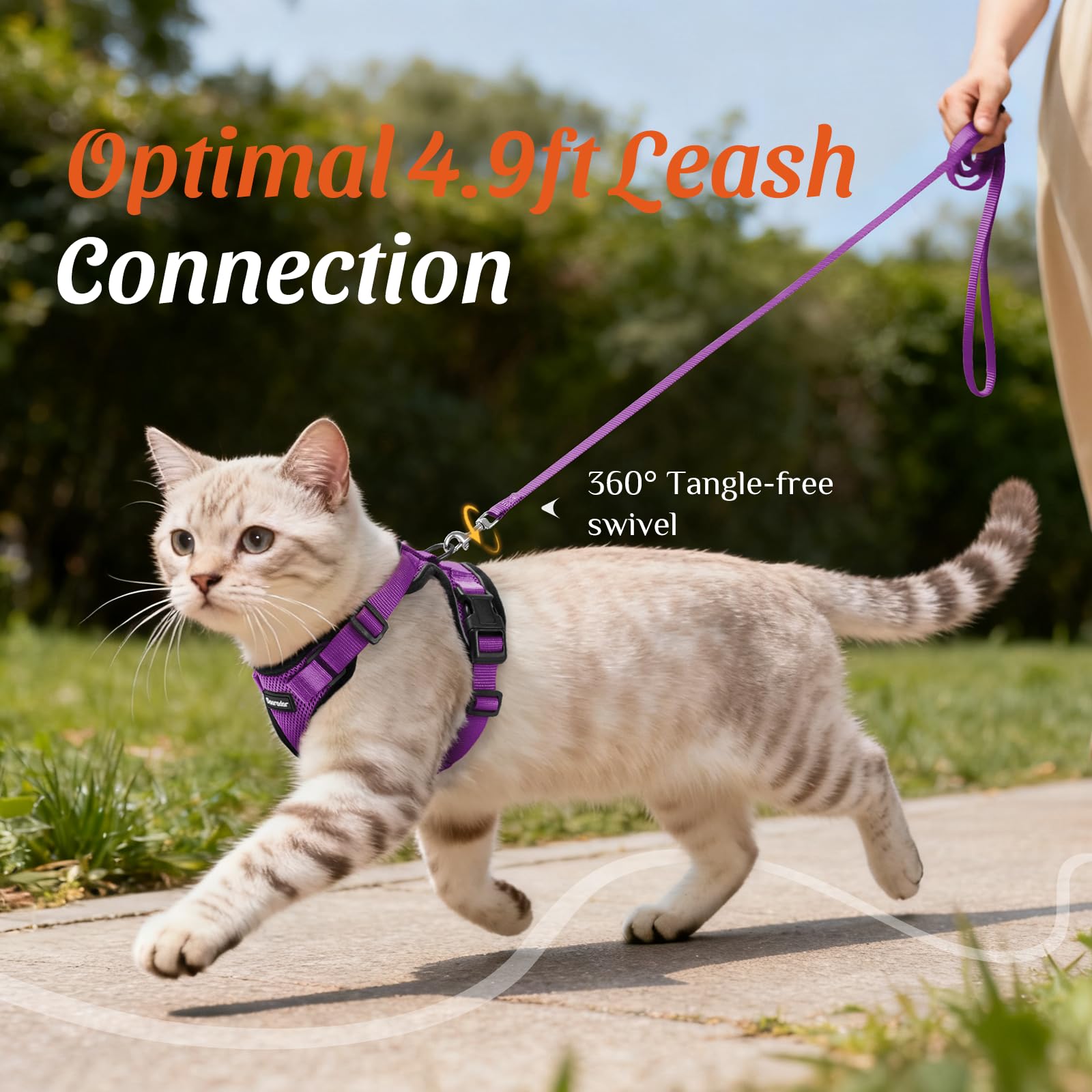 Dooradar talla XS con ajuste rápido para crecimiento del compañero felino.