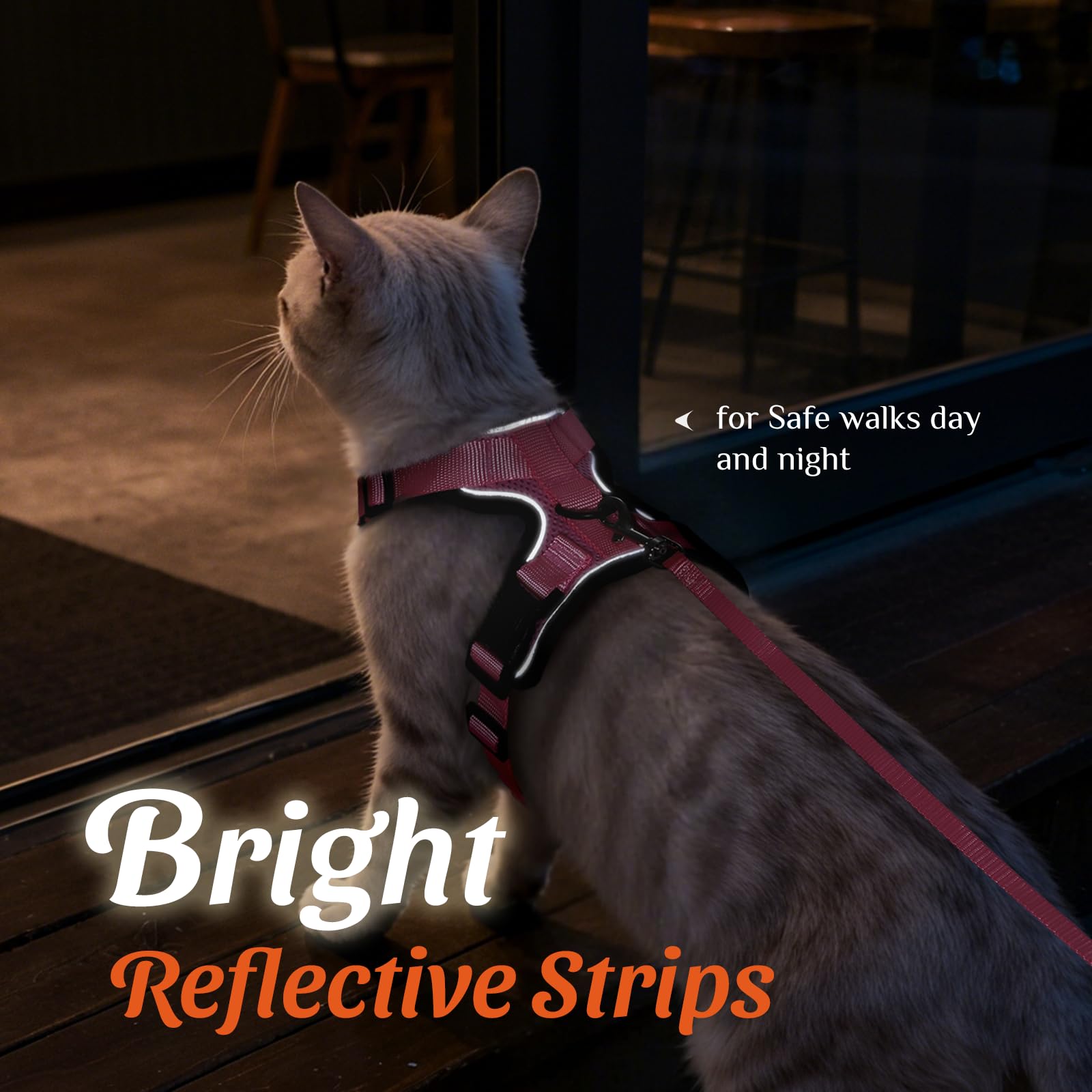 Dooradar arnés gato con clip 360° para evitar enredos.