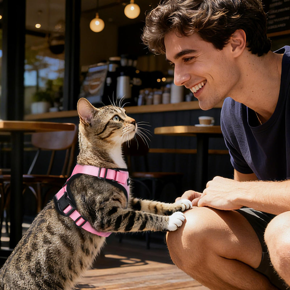 Dooradar guía de talla arnés gato para ajuste cómodo al crecimiento.