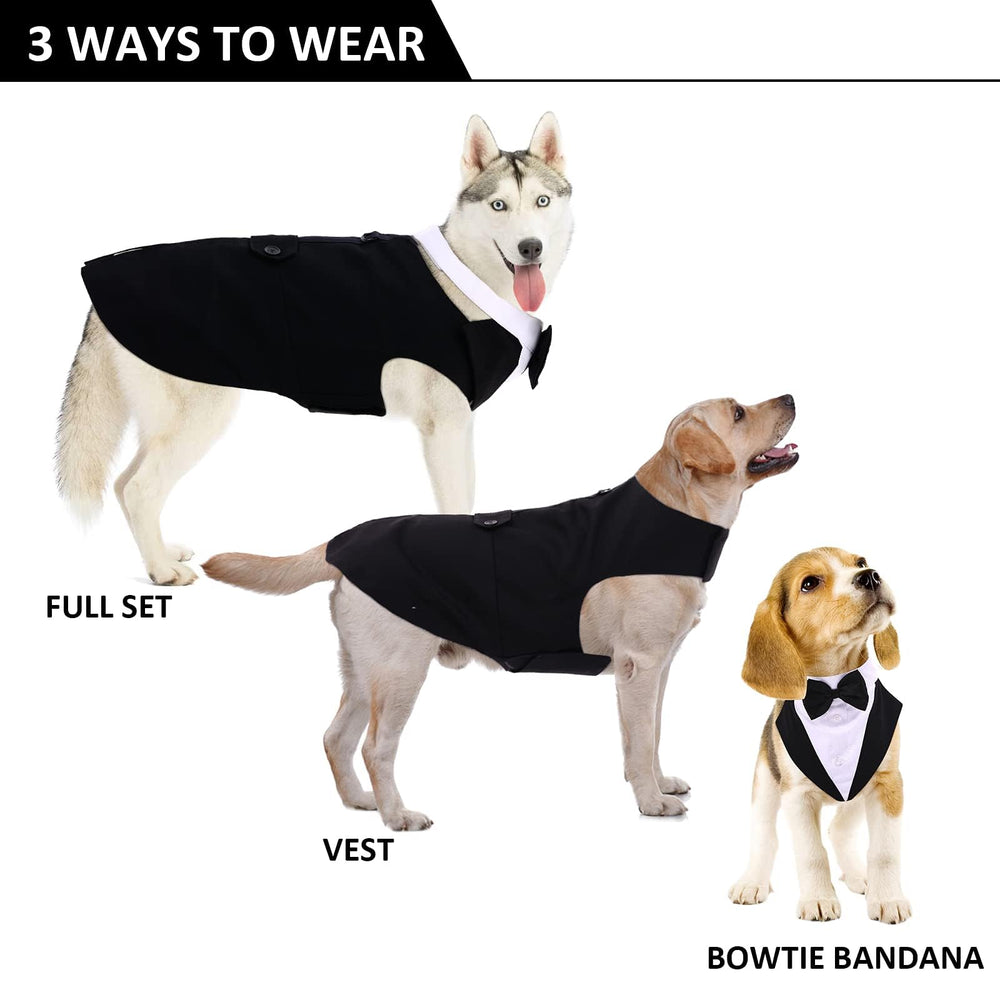 Dora Bridal lazo-bandana para perro, complemento cómodo y con estilo.
