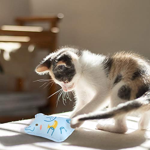 Dorakitten, juguete con hierba gatera, textura peluche para mimos