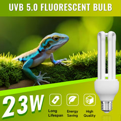 DoRight UVB 5.0 ayuda a regular comportamientos naturales en aves.
