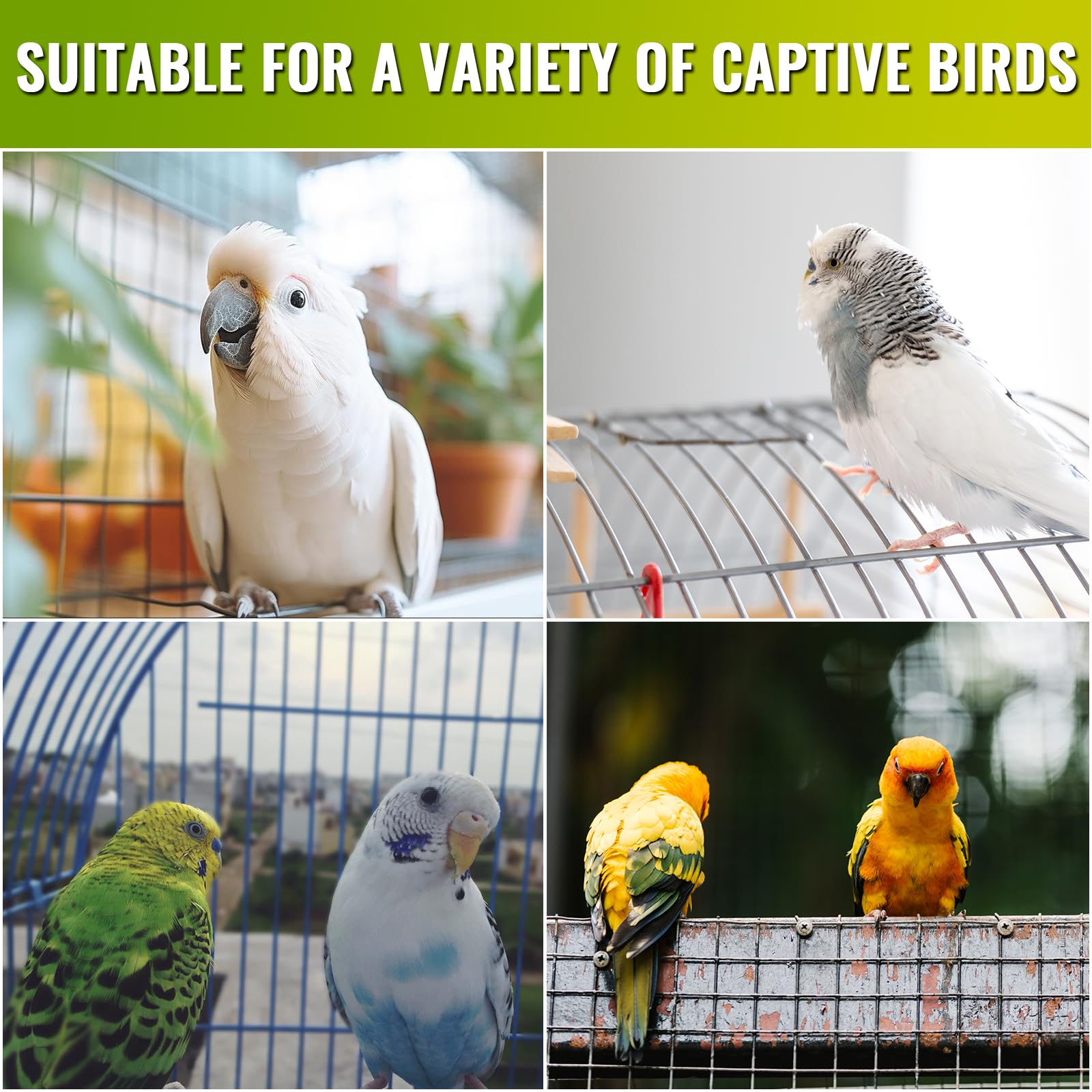 DoRight UVB 5.0 simula la luz solar natural para aves.
