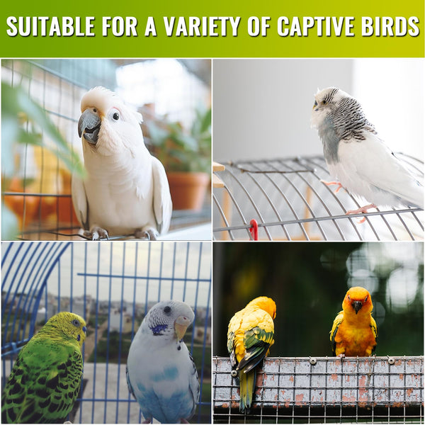 DoRight UVB 5.0 simula la luz solar natural para aves.