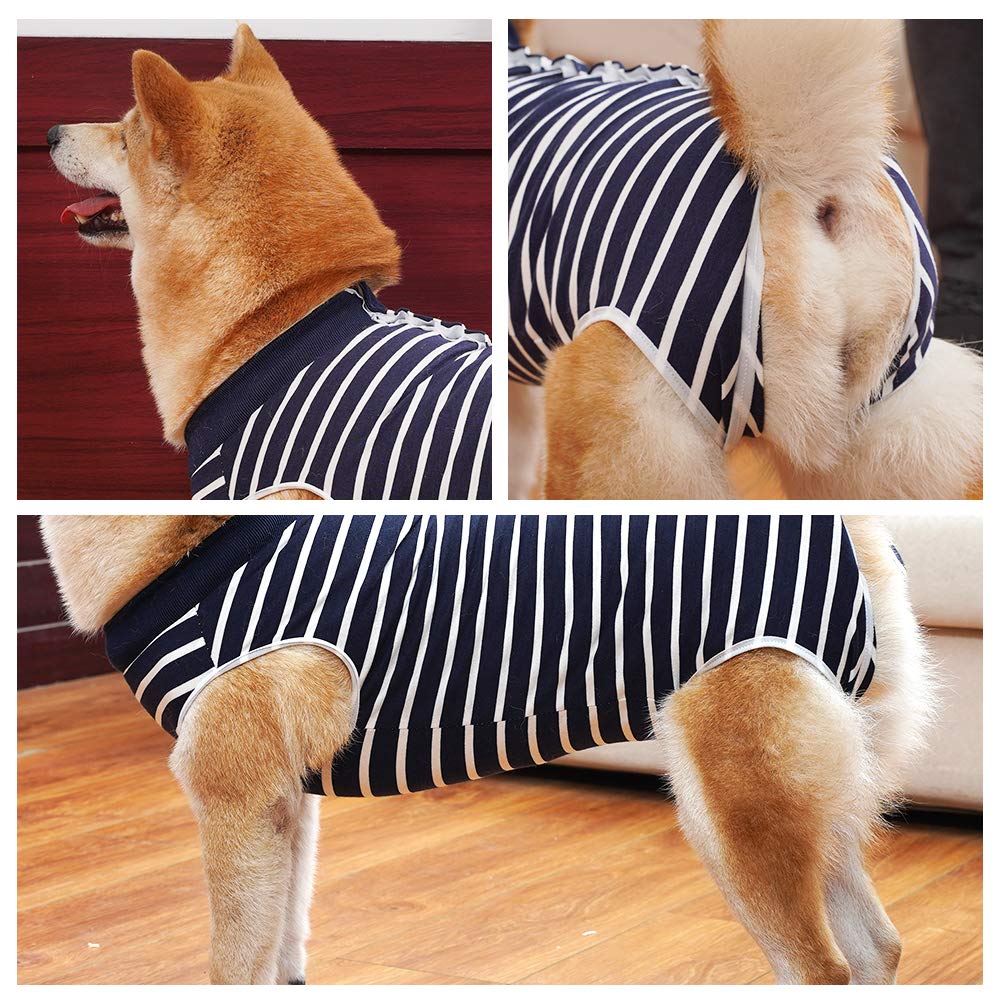 Dotoner chaleco postoperatorio: collar isabelino como sustituto para comer con comodidad
