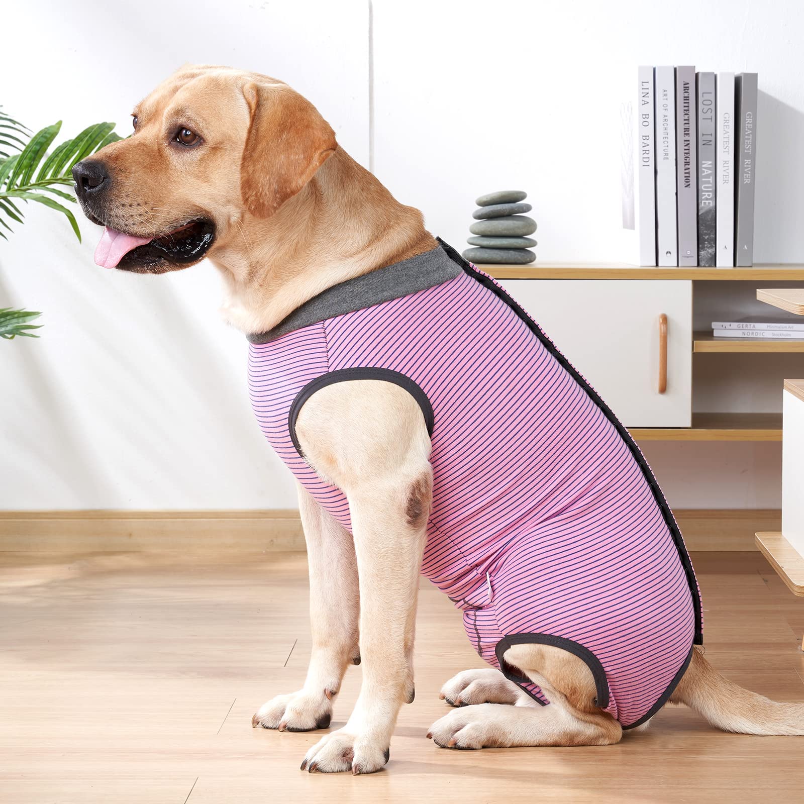 Dotoner collar sustituto cono permite comer con normalidad.