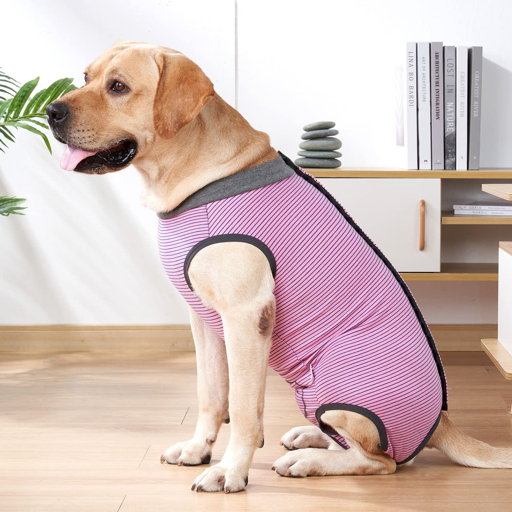 Dotoner collar sustituto cono permite comer con normalidad.