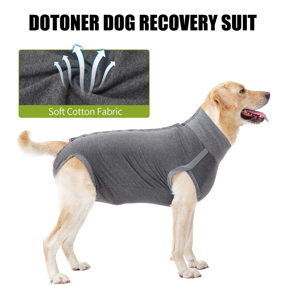 Perro usando la funda de recuperación Dotoner en ambientes domésticos y exteriores